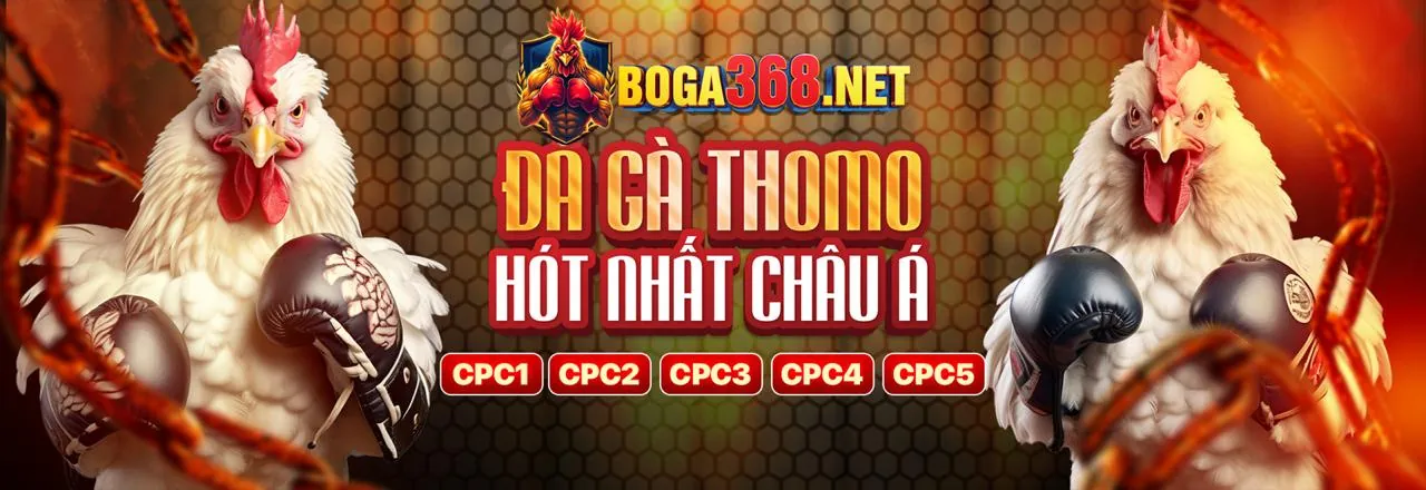 Đá Gà Trực Tuyến Đỉnh Cao tại nohu 09